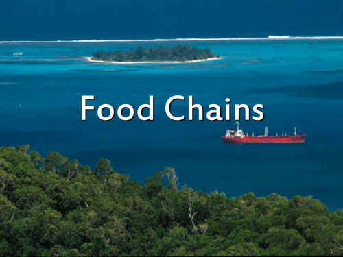 Food chains