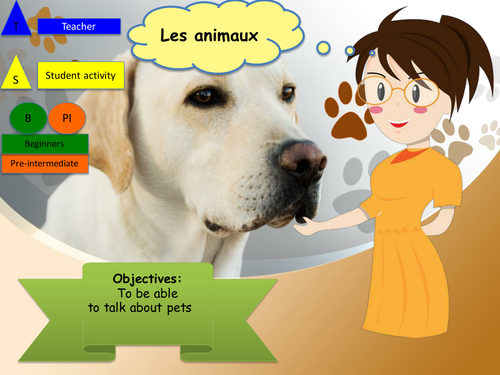 Pets in French (lesson starter)  / Les animaux en français Freebie