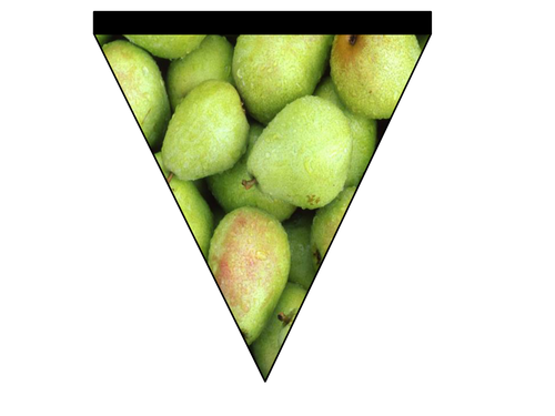 Pear class bunting
