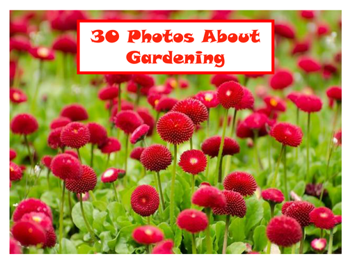 30 Photos About Gardening