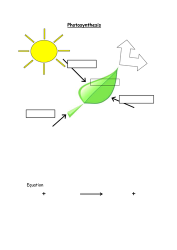 Photosynthesis, reactants, products and equation