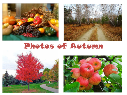 30 Photos of Autumn