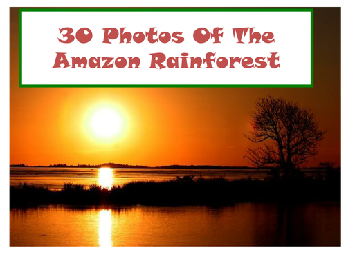 30 Photos Of The Amazon Rainforest