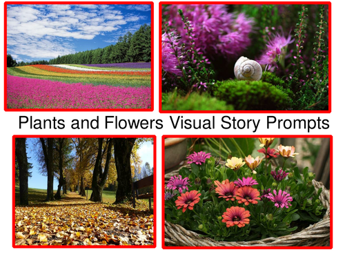 Plants and Flowers Visual Story Prompts