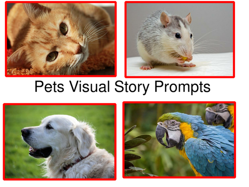 Pets Visual Story Prompts