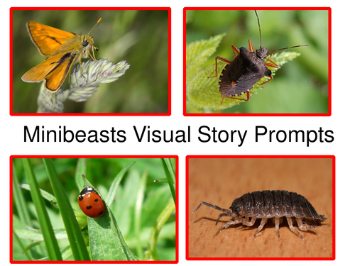 Minibeasts Visual Story Prompts