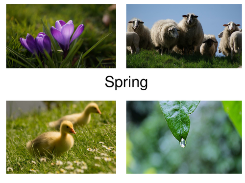 30 High Quality Photos About Spring