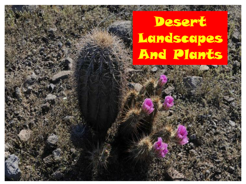30 Photos Of Desert Landscapes And Plants PowerPoint Presentation