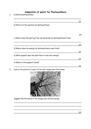 Biology: Plant adaptation