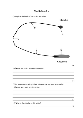 Biology: Reflex action