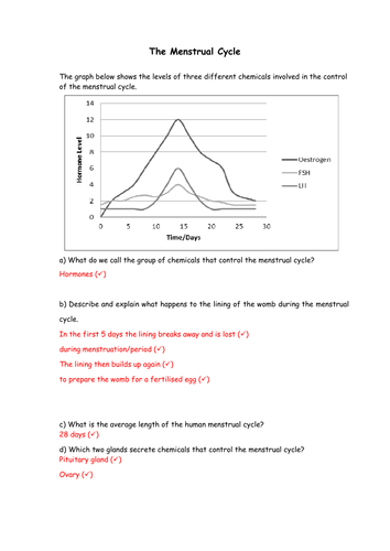 Biology: The menstrual cycle