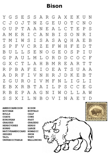 Bison (Buffalo) Word Search and Color