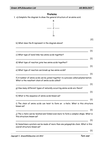 Biology: Proteins | Teaching Resources