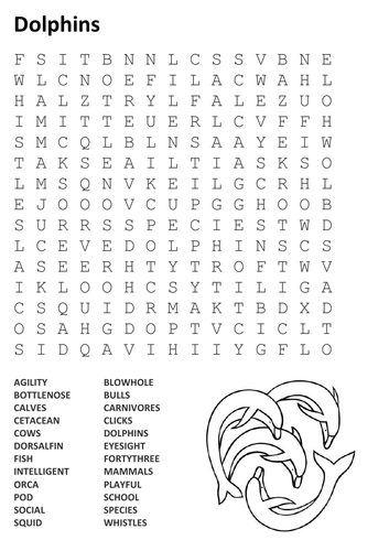 Dolphins Word Search