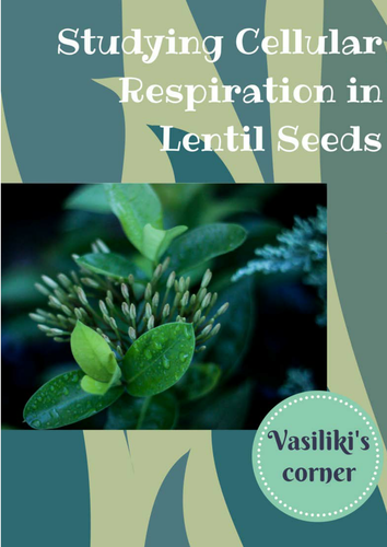 Studying cellular respiration in lentil seeds