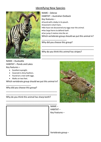 Identifying vertebrate groups
