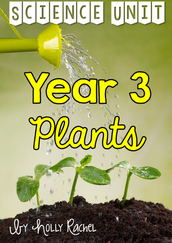 Year 3 Plants