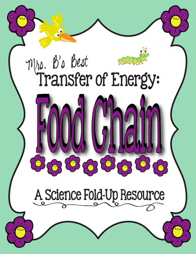 Food Chain Foldable - Transfer of Energy