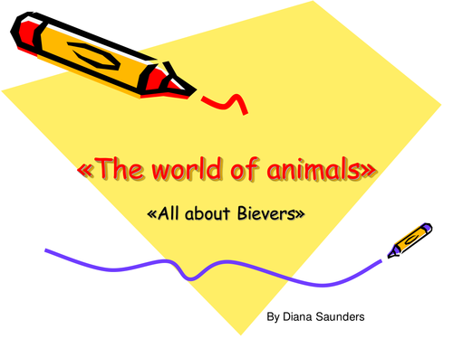 All about Beavers maths