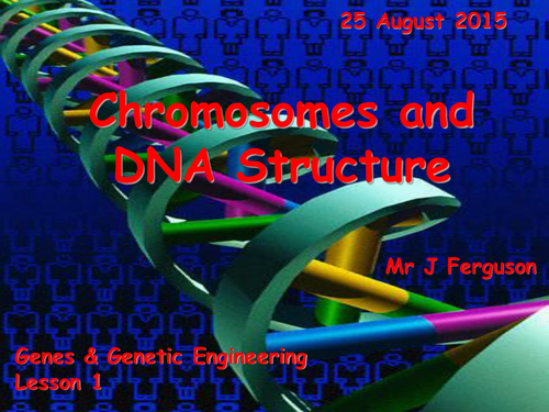 L1 Chromosomes and DNA structure