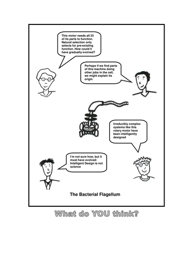 Irreducible Complexity