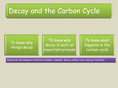 Decay and the Carbon Cycle