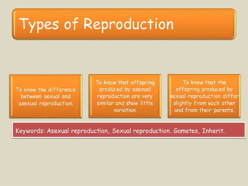Biology: Types of reproduction by greenAPL - Teaching Resources - TES