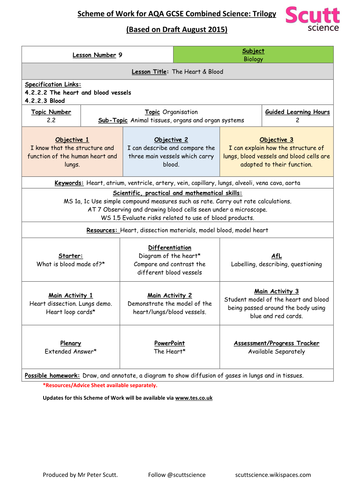 Unit 2: Organisation - ALL RESOURCES & PLANS (UPDATED June 16)