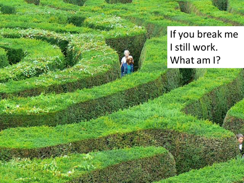 Poetry - Riddle Poems - Solving and writing - 2 whole, detailed lessons ...