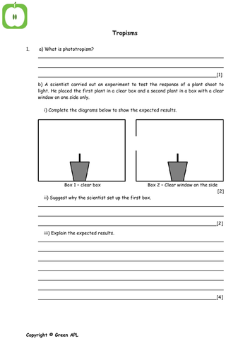 FREE Biology: Tropisms Worksheet