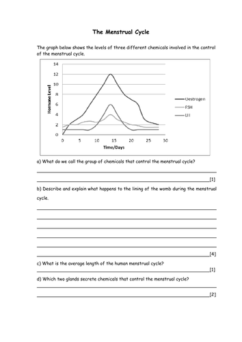 Biology: Menstrual Cycle Worksheet | Teaching Resources