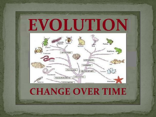 Evolution Power Point