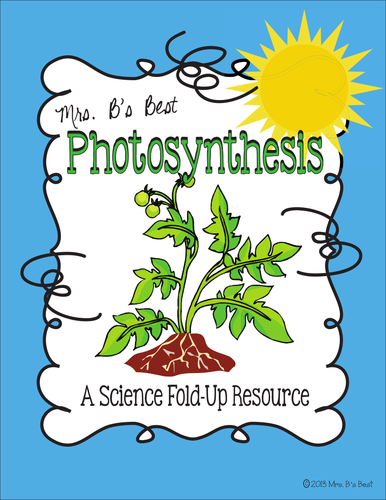 Photosynthesis: A Science Fold-Up Resource