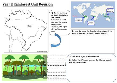 rainforest revision worksheet teaching resources