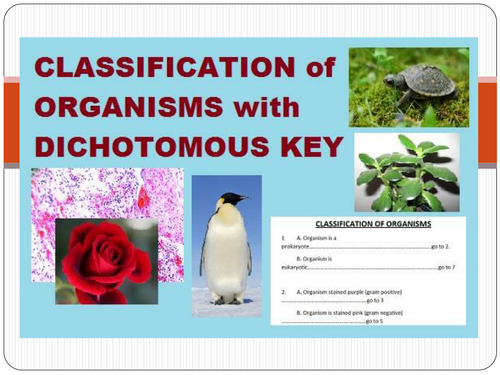 Classifying Organisms Dichotomous Key