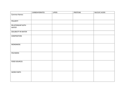 Biomolecule Comparison Chart