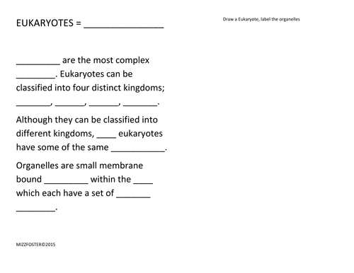 Eukaryotes Worksheet Packet