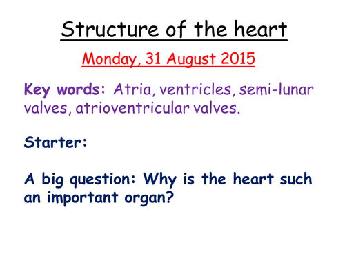 The heart- structure and cardiac cycle