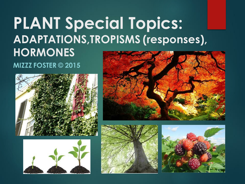 Plants Special Topics: Adaptations, Tropisms and Hormones