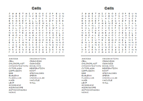 Wordsearch Activate 1 B1(1)