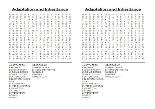 Wordsearch Activate 2 B2