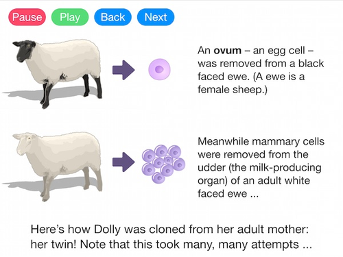 Adult Cell Cloning (Video)