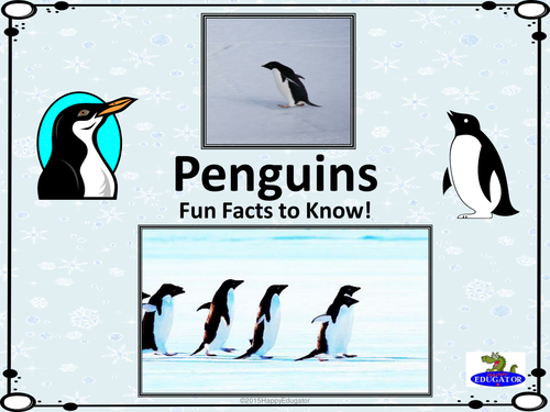 Penguins PowerPoint | Teaching Resources