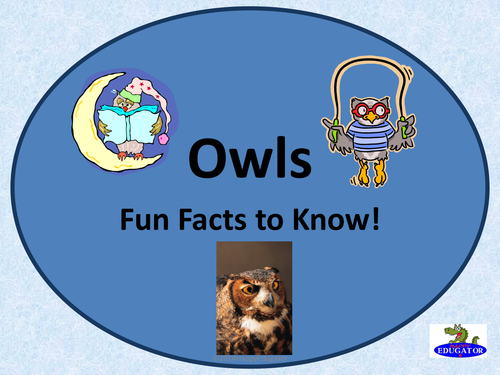 Owls- Fun Facts About Owls PowerPoint 