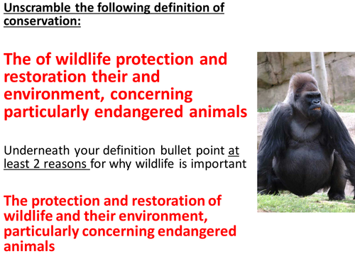 Why conserve wildlife lesson
