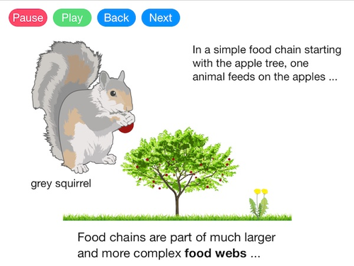 Food Chains and Food Webs (Video)