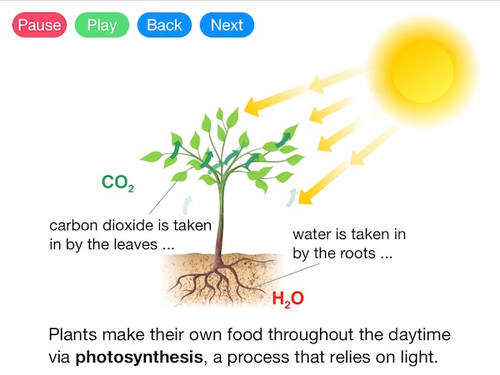 Photosynthesis (Video)