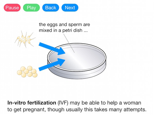 Hormones and Fertility (Video)