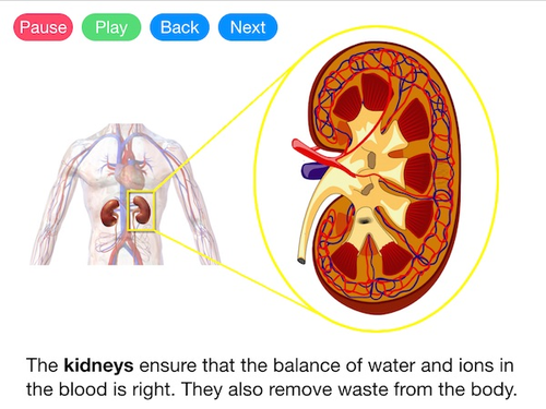 Osmoregulation (Video)