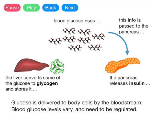 Controlling Blood Glucose (Video)